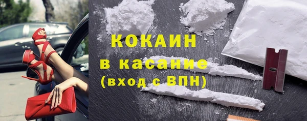 шишки Козловка