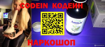 apvp Можга